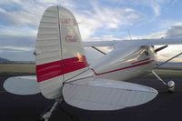 N1950A @ KLGD - 1950 Cessna 140A - by Jason Buchanan