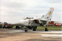 ZE732 @ MHZ - Tornado F.3 of 56[Reserve] Squadron at RAF Coningsby on  the flight-line at the 1995 RAF Mildenhall Air Fete. - by Peter Nicholson