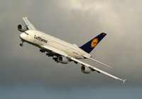 D-AIMA @ LMML - Lufthansa - by frankiezahra