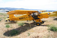 N118CC @ KLPC - Lompoc Piper Cub Fly-in - by Nick Taylor Photography