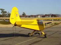 N7116H @ KLPC - On display at the Lompoc Piper Cub Fly-in - by Nick Taylor Photography