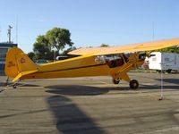 N42144 @ KLPC - On display at the Lompoc Piper Cub Fly-in - by Nick Taylor Photography
