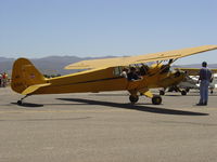 N33112 @ KLPC - On display at the Lompoc Piper Cub Fly-in - by Nick Taylor Photography