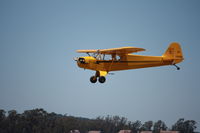 N7020H @ KLPC - Lompoc Piper Cub Fly-in 2011 - by Nick Taylor Photography