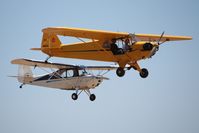 N98615 @ KLPC - Lompoc Piper Cub Fly-in 2011 - by Nick Taylor Photography