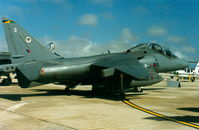 ZH663 @ LMML - Harrier T10 ZH663/Q 20Sqd RAF - by raymond