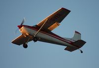 C-GVER @ LAL - Cessna 180K - by Florida Metal