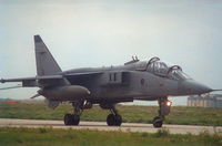 XX845 @ LMML - JaguarT2 XX845/ET 6Sqd RAF - by raymond