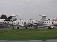 N6FZ @ KOSH - Zebra stripped PC-XII during EAA2011 - by steveowen
