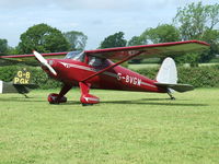 G-BVGW - Luscombe 8A at Charity Farm Wings and Wheels 2011 - by Lee Turner