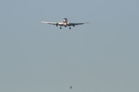 N175AN @ EBBR - Flight AA172 is on approach to RWY 02 - by Daniel Vanderauwera