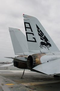 159025 - Grumman F-14A Tomcat at Patriots Point Naval & Maritime Museum, Mount Pleasant, SC - by scotch-canadian
