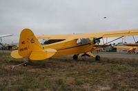 N26105 @ KLPC - Lompoc Piper Cub fly in 2011 - by Nick Taylor Photography