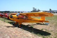 N24543 @ KLPC - Lompoc Piper Cub fly in 2011 - by Nick Taylor Photography