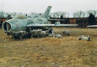 20708 @ DATANGSHAN - @ Preserved area Datangshan Aviation Museum.(note the sheep around it) - by ghans