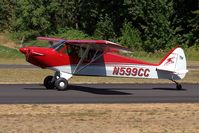N599CC - Cub Crafters S2 - by Unknown