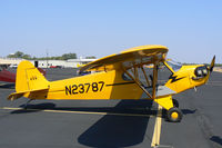 N23787 @ LNC - At the 2011 Warbirds on Parade Fly-in at Lancaster Airport, TX - by Zane Adams