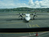 ZK-NEB @ NZWN - Nearing its stand. - by magnaman