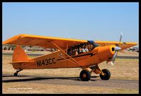 N143CC - Tradewinds Airport, Amarillo, Texas - by Rick Lawhon