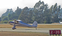 N1140B @ KWVI - Beautiful 1947 Luscombe 8A painted as NC1140B rolling out @ Watsonville Fly-In - by Steve Nation