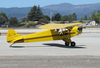 N19512 @ KWVI - 1937 Taylor J-2 painted as NC19512 taxiing @ Watsonville Fly-In - by Steve Nation