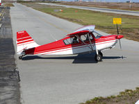 N5054B @ KPAO - Locally-based 1979 Bellanca 7ECA taxiing for take-off @ Palo Alto, CA - by Steve Nation