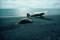 N5092H - On the beach, Berring Sea - by Ray Hall