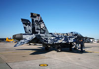 165677 @ NPA - Displaying the marking s of VFA-122, Modex: NJ-100, parked on the KNPA flight line - by T.P. McManus