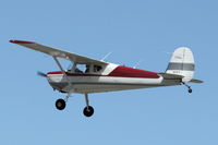 N5317C @ LAL - 1950 Cessna 140A, c/n: 15437 at 2012 Sun N Fun - by Terry Fletcher