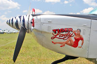 N505 @ LAL - Artwork on Grumman Tiger  at 2012 Sun N Fun at Lakeland , Florida - by Terry Fletcher