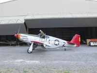 N61429 @ D52 - Tuskegee P-51C parked at Geneseo, NY Air Show in 2010. - by Terry L. Swann