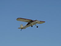 N77275 @ SZP - 1946 Cessna 140, Continental C85 85 Hp, takeoff climb Rwy 22 - by Doug Robertson