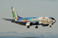 N705AS @ PANC - Alaska Airlines Boeing 737-400 - by Dietmar Schreiber - VAP