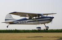 N3560C @ C55 - Cessna 170B - by Mark Pasqualino