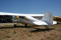N86166 @ KLPC - Lompoc Piper Cub fly in 2012 - by Nick Taylor