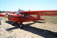 N33295 @ KLPC - Lompoc Piper Cub fly in 2012 - by Nick Taylor