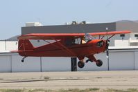 N33295 @ KLPC - Lompoc Piper Cub fly in 2012 - by Nick Taylor