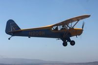 N209H @ KLPC - Cub formation - by Nick Taylor