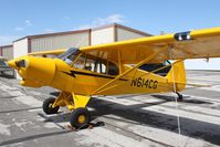 N614CG @ KLPC - Lompoc Piper Cub fly in 2010 - by Nick Taylor
