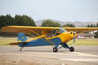 N4595M @ KLPC - Lompoc Piper Cub fly in 2010 - by Nick Taylor