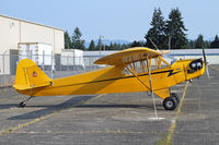 N42200 @ SHN - Surprise!  Another yellow Cub!! - by Duncan Kirk