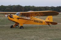 N88096 @ OSH - 1946 Piper J3C-65, c/n: 15714 - by Timothy Aanerud