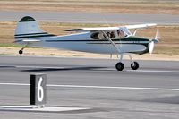 N9575A @ KPAE - Cessna 170A - by hawgwild