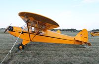 N33204 @ KOSH - Piper J3C-65 - by Mark Pasqualino