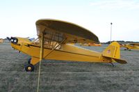 N3607N @ KOSH - Piper J3C-65 - by Mark Pasqualino