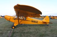 N18GE @ KOSH - Piper PA-18-105 Special - by Mark Pasqualino