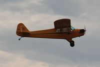 N3650K @ OSH - 1946 Piper J3C-65, c/n: 22344 - by Timothy Aanerud