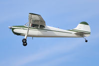 N9575A @ KPAE - 1949 Cessna 170A C/N 19136 - by hawgwild