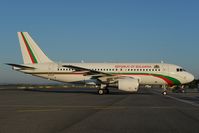 LZ-AOB @ LOWW - Bulgaria Government Airbus 319 - by Dietmar Schreiber - VAP