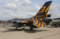 FA-87 @ EBFS - nice tiger ! Florennes 2012 - by olivier Cortot